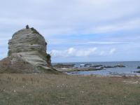 Albums/20060200-New Zealand 2006/20060318-Kaikiura/20